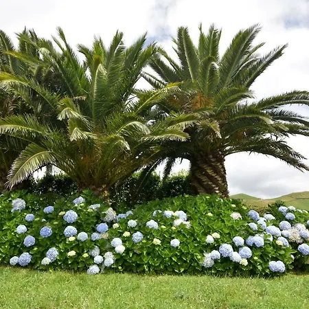 Holiday home Flor Do Monte *