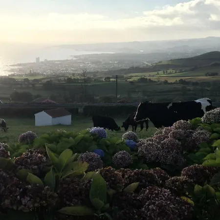 Flor Do Monte * Lagoa (Azores)