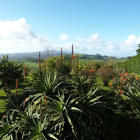 Flor Do Monte Holiday home *