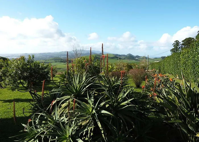 Flor Do Monte Nyaraló *