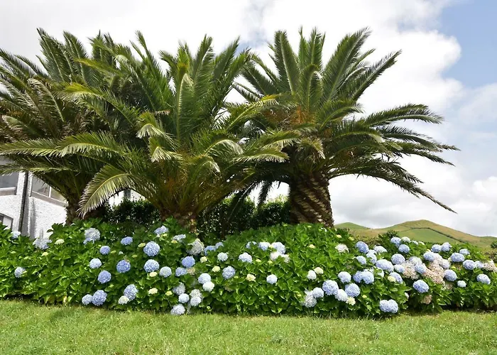 Nyaraló Flor Do Monte *