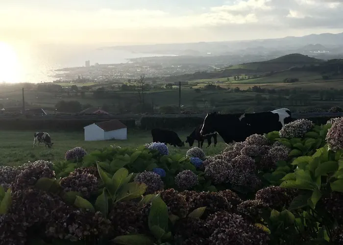 Flor Do Monte * Lagoa